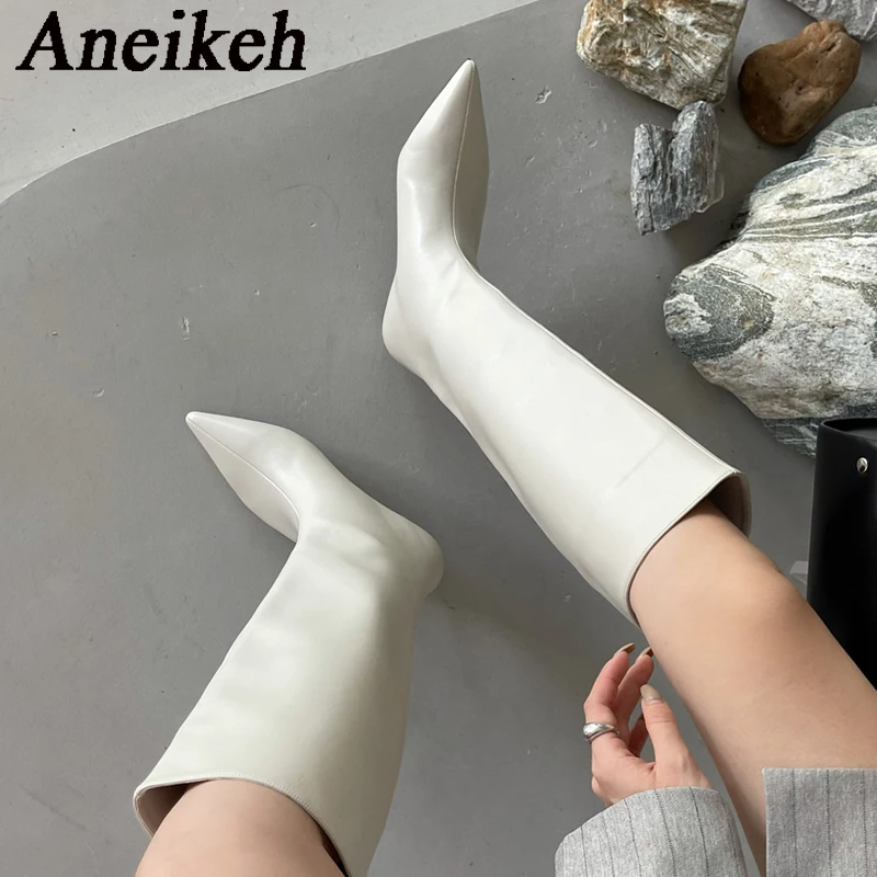Women'S Fashion Knee High Boots - รองเท้าบูททรงสูงถึงเข่า ส้นเตี้ย ปลายแหลม แฟชั่นเซ็กซี่ รุ่น Aneikeh